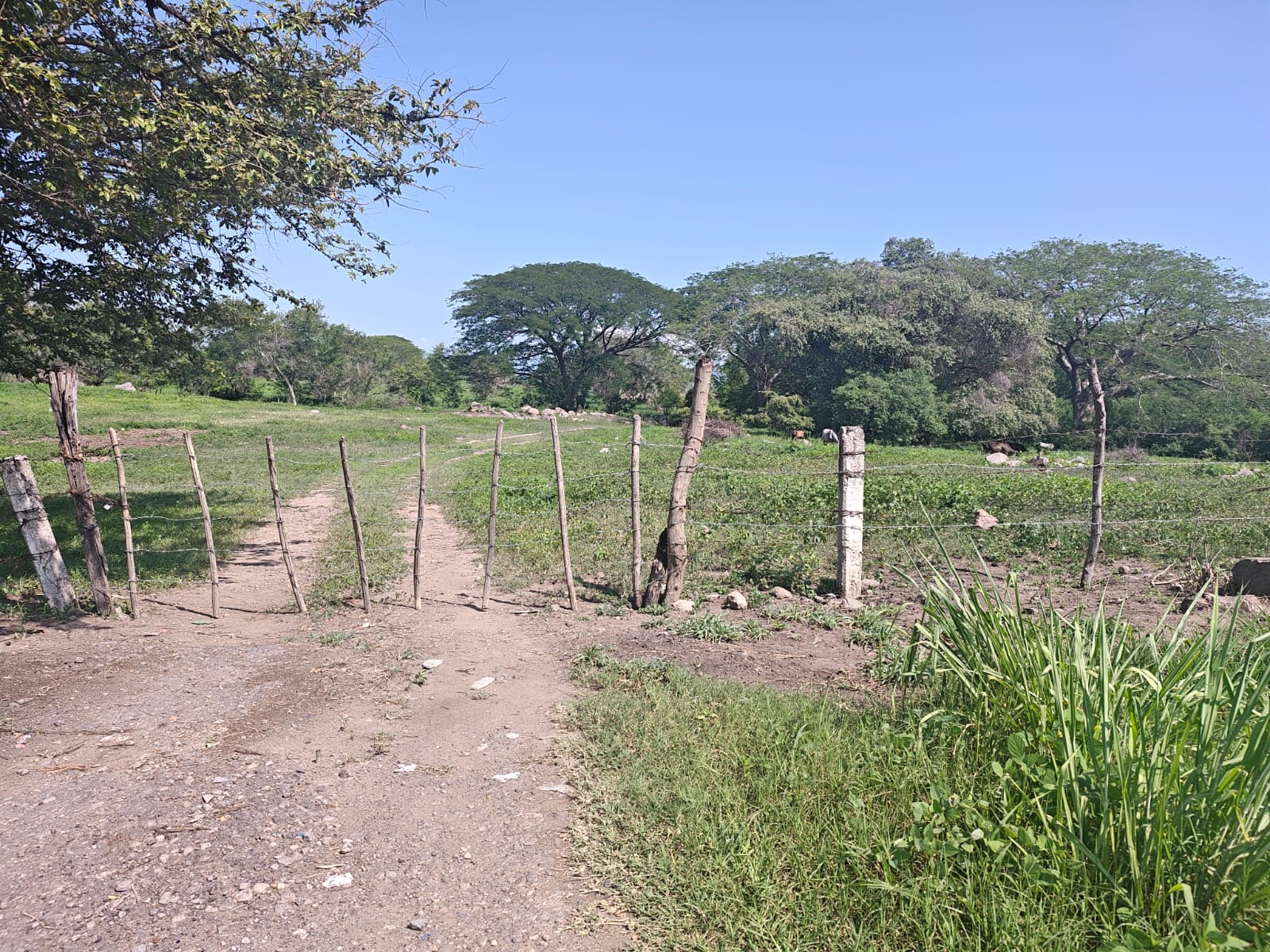 Terreno Autopista Vista 2