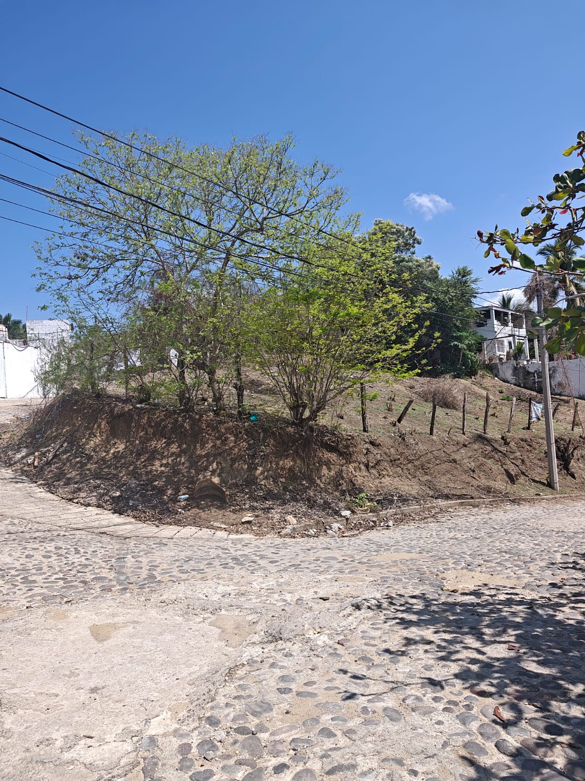 Terreno Las Flores Vista 2