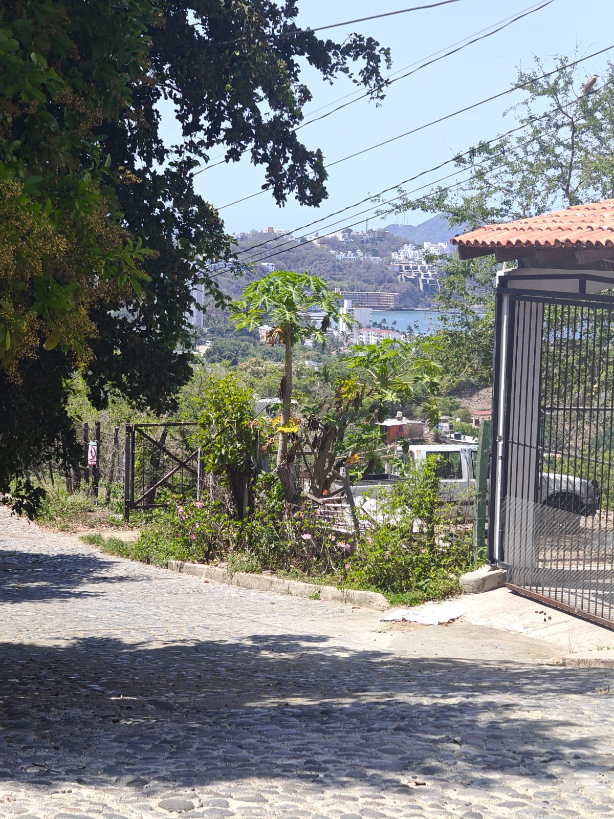 Terreno Las Flores Vista 4